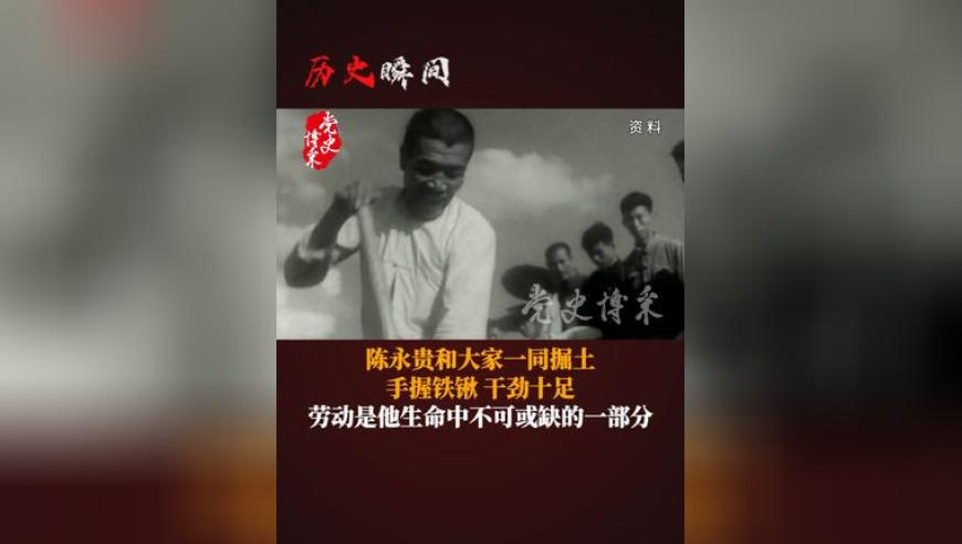 2025新澳门开奖记录香港王中王,陈岚,准确资料解释落实_手游版V8.87