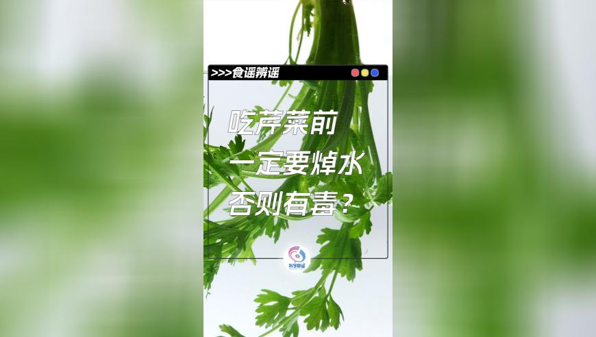 特区总站香港正版资料大全,RIIZE你们就这么爱海底捞吗,展开解析落实_潮流版V7.73