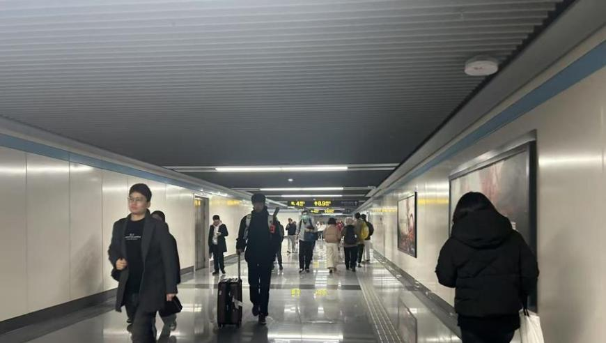 二四六玄机资料大全首页,常吃猪油能治百病？不实,展开计划实施_创新版V14.81