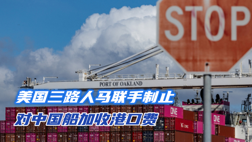 香港全年免费资料大全正版资料,32岁女博士石召君去世,展开解析落实_VR版V3.46